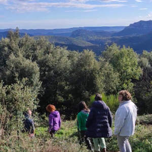 accompagnement écriture